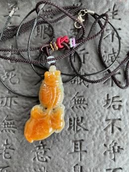Nck-031
